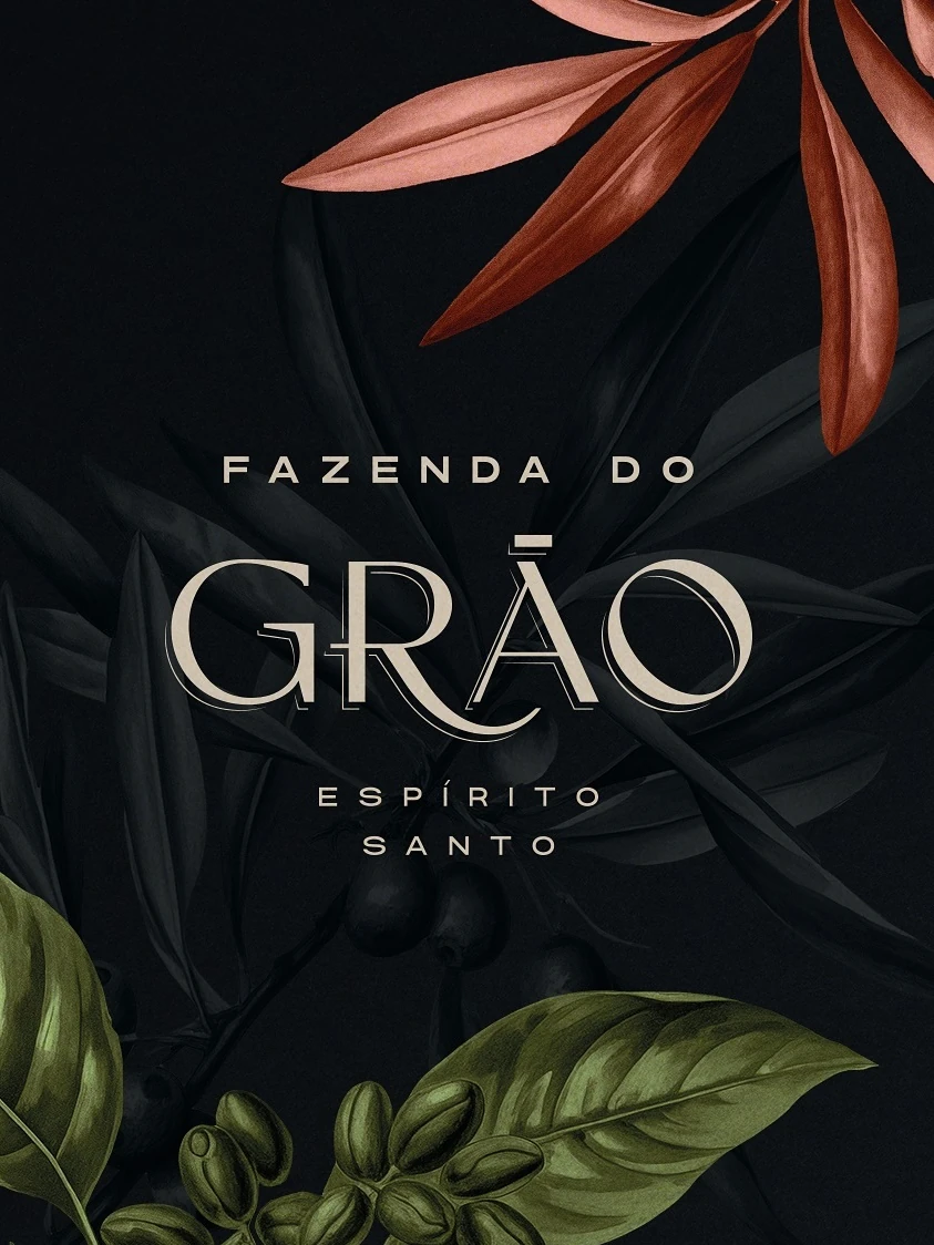 INSTAGRAM AND HIGHLIGHTS FOR Fazenda do Grão