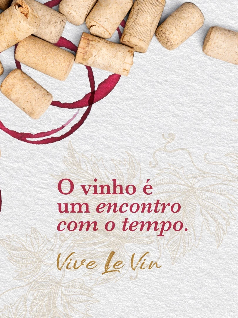 CARNIVAL AND INSTAGRAM FOR Vive Le Vin