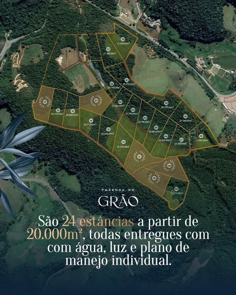 FAZENDA DO GRÃO on Instagram.